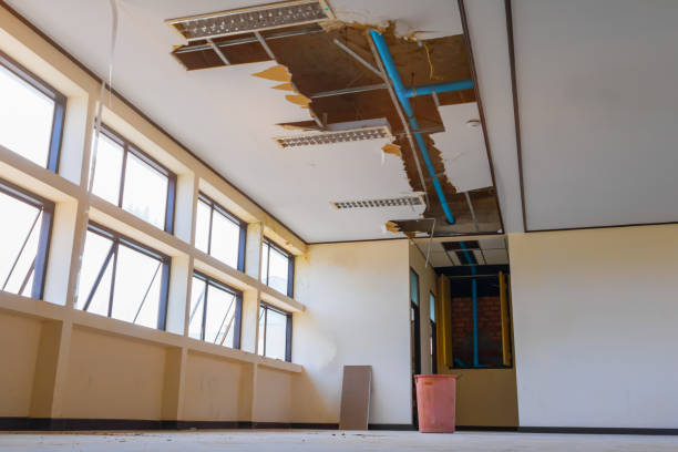 Best Professional water damage repair  in Plantation, FL