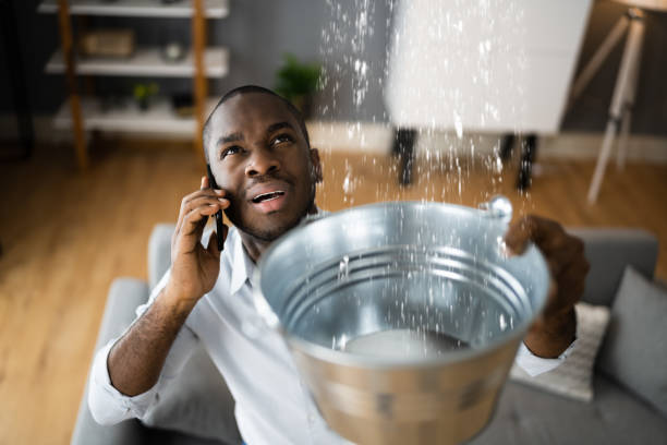 Trusted Plantation, FL Water damage restoration Experts