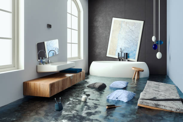 Best Mold removal after water damage  in Plantation, FL