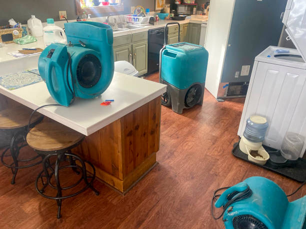 Best Flood damage cleanup  in Plantation, FL