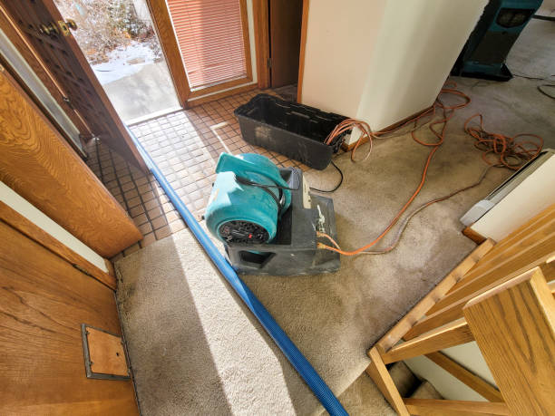 Water damage restoration experts in Plantation, FL
