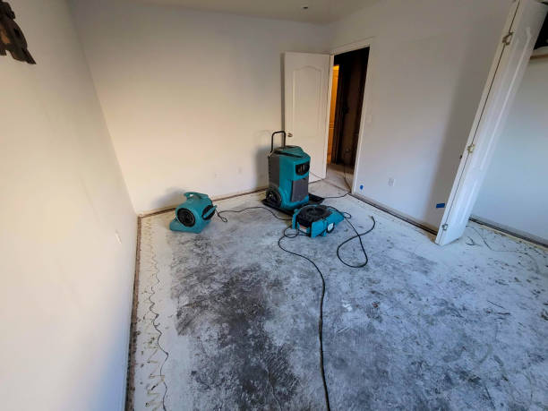 Best Local water damage restoration  in Plantation, FL