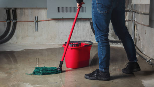 Best 24/7 water damage repair  in Plantation, FL
