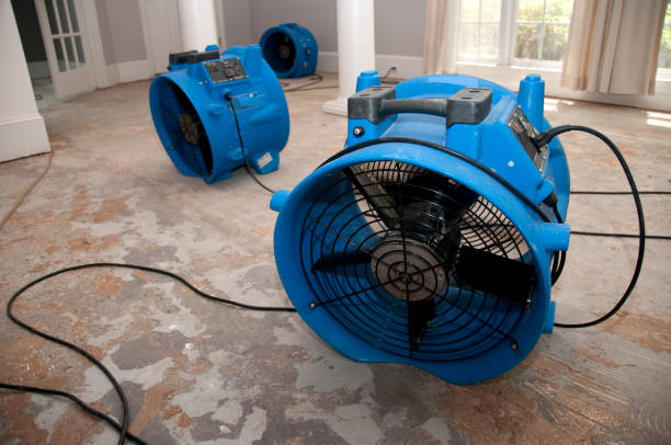 Best Water damage restoration cost  in Plantation, FL