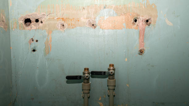  Plantation, FL Water damage restoration Pros