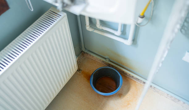 Best Fire Damage Restoration  in Plantation, FL