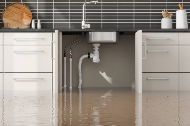 Best Water damage contractors near me  in Plantation, FL