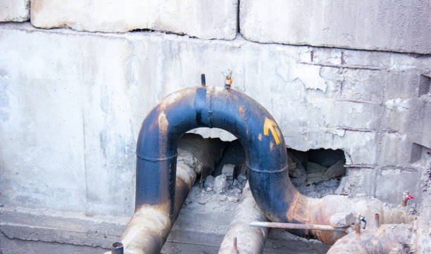Best Water damage mitigation services  in Plantation, FL