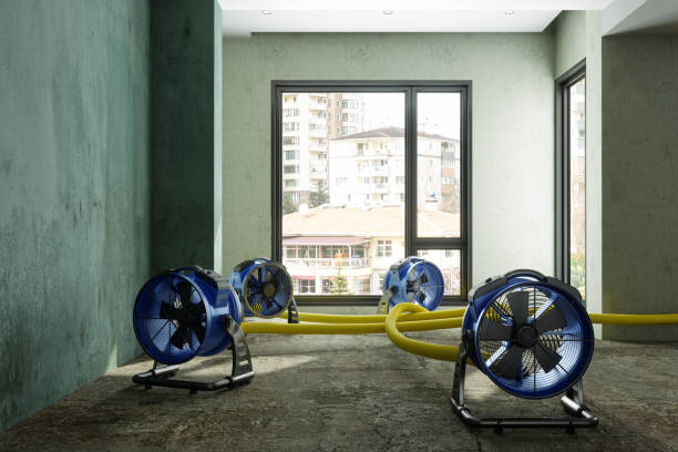 Best Water damage restoration near me  in Plantation, FL