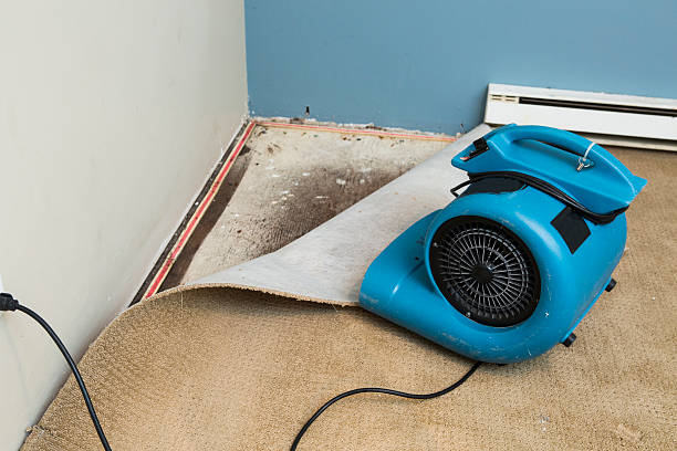  Plantation, FL Water damage restoration Pros